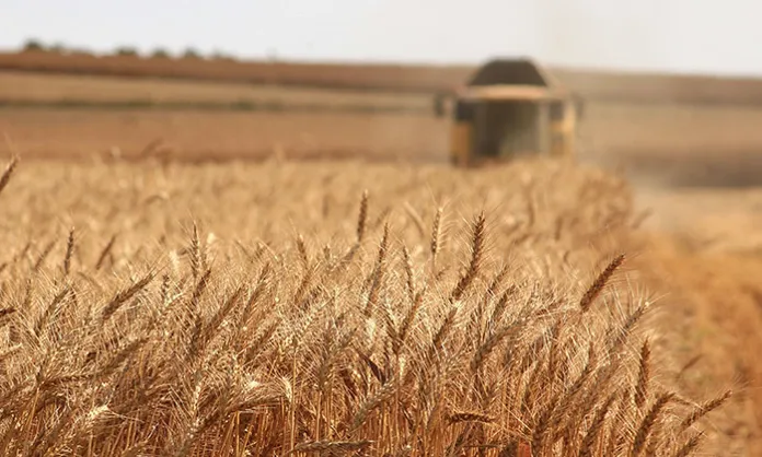 Field