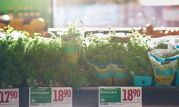 Fresh herbs in Willys store