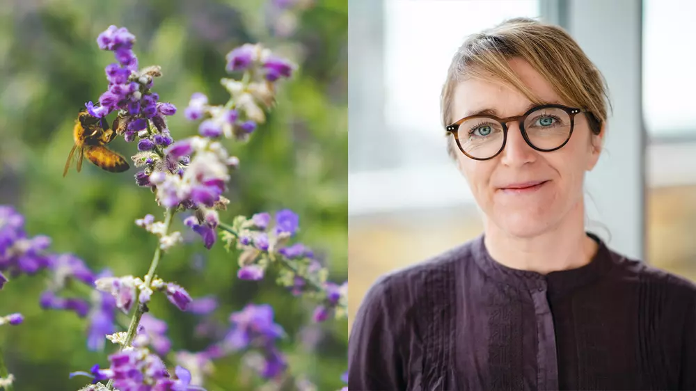 Helena Allard, sustainability innovator at Axfood