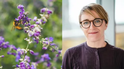 Helena Allard, sustainability innovator at Axfood